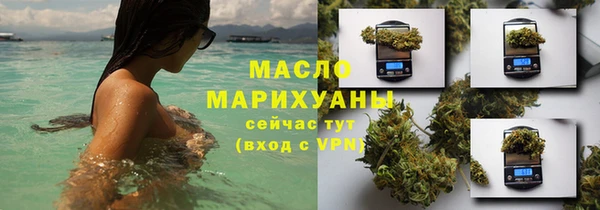 гидра Верхний Тагил