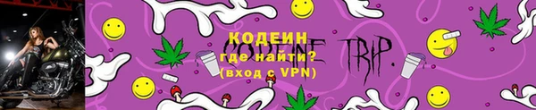 гидра Бородино