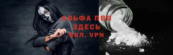 гидра Бородино