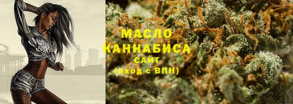 mix Богородицк