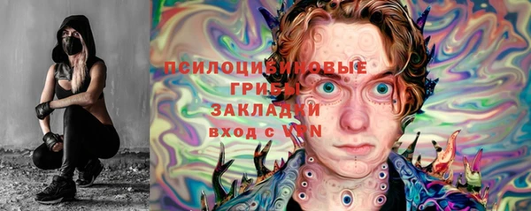 мяу мяу кристалл Богданович