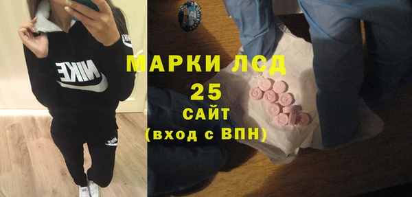 гидра Бородино
